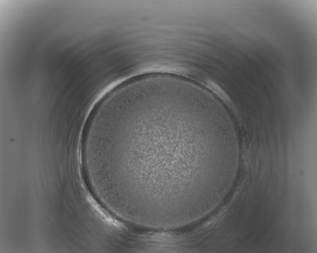 X0000081451028200701191708