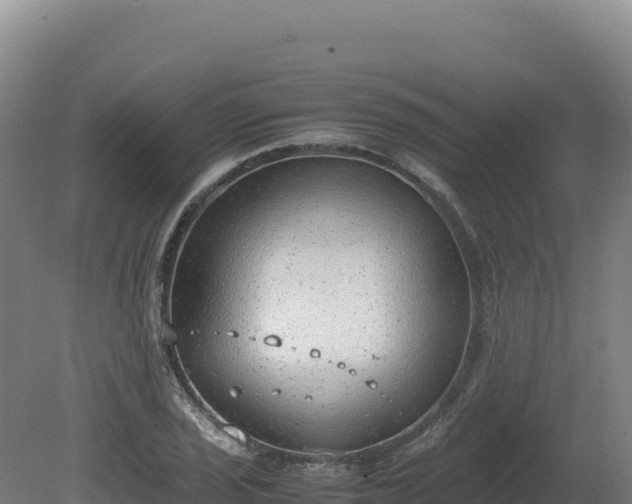 X0000081451029200701191708