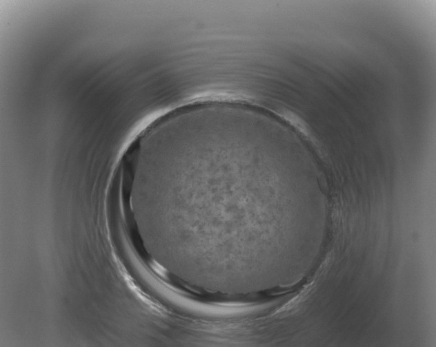 X0000081451030200701191708