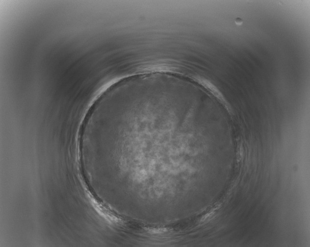 X0000081451031200701191708