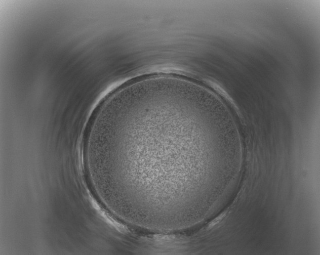 X0000081451032200701191708