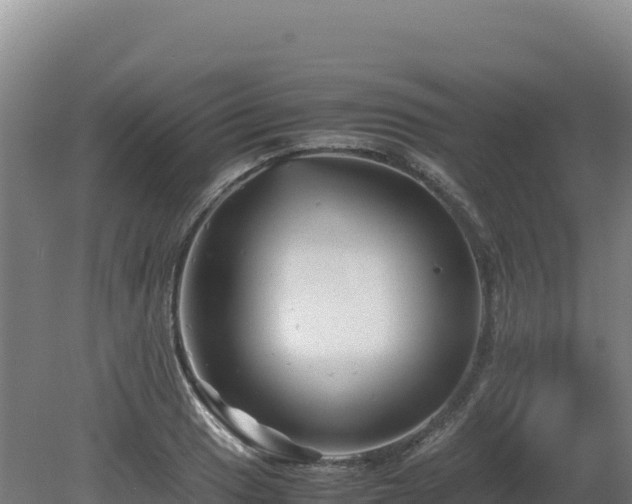 X0000081451033200701191708