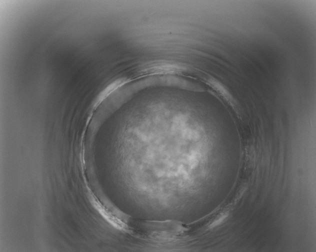 X0000081451034200701191708