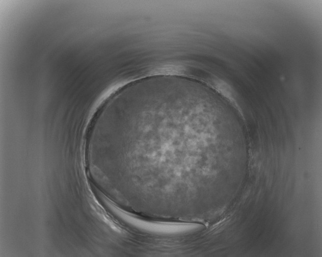 X0000081451035200701191708