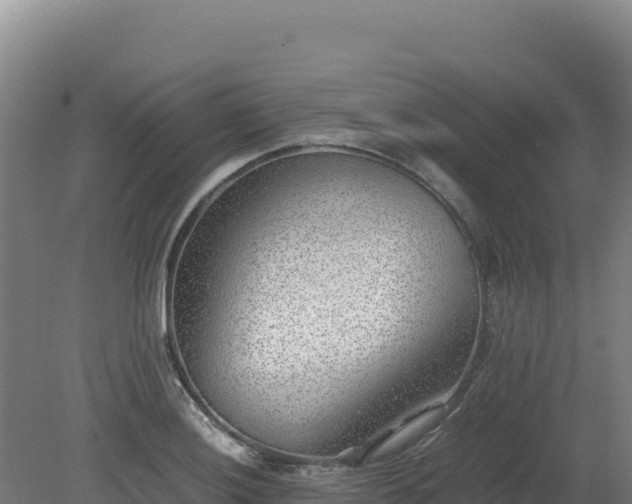 X0000081451036200701191708