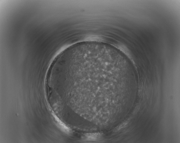 X0000081451037200701191708