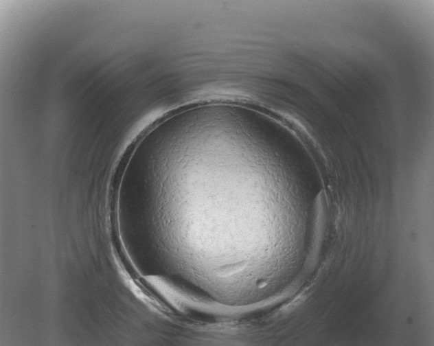 X0000081451038200701191708