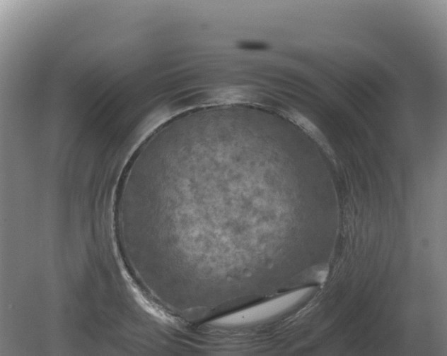 X0000081451039200701191708