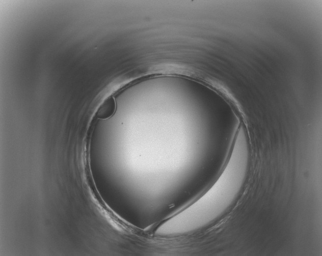 X0000081451040200701191708