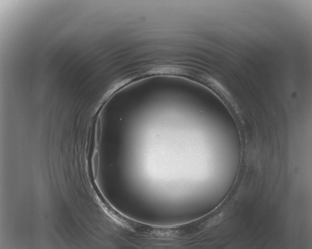 X0000081451041200701191708