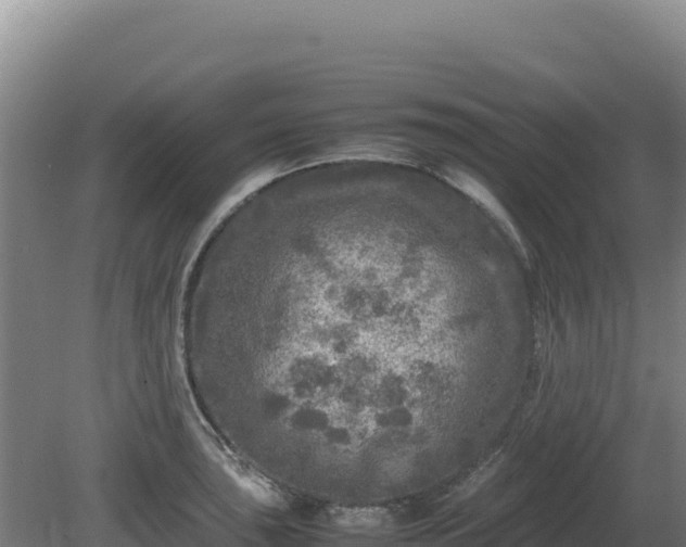 X0000081451043200701191709