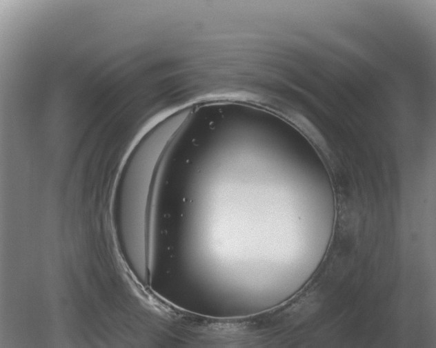 X0000081451044200701191709