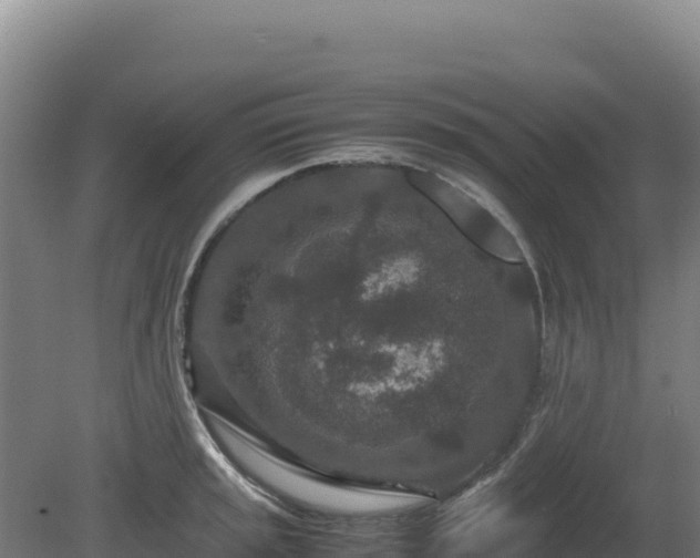 X0000081451045200701191709