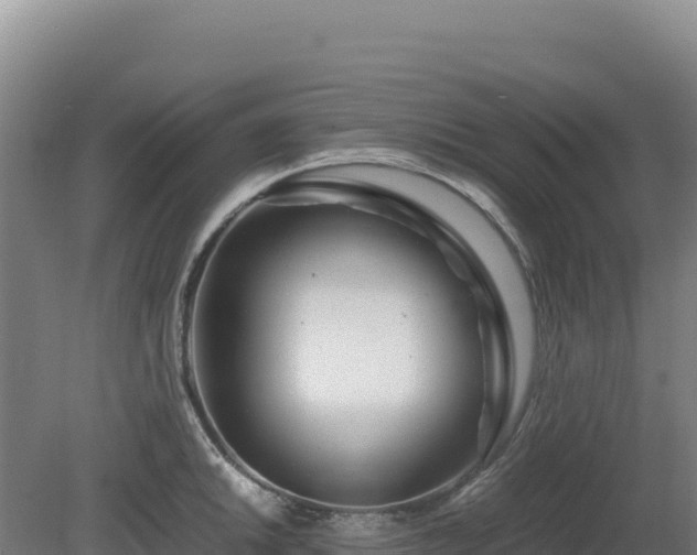 X0000081451046200701191709