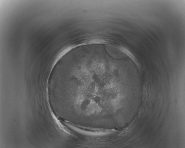 X0000081451047200701191709