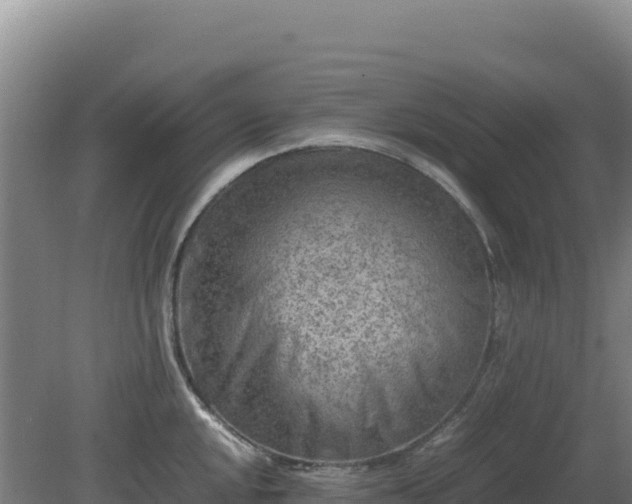 X0000081451048200701191709