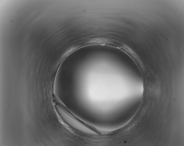 X0000081451049200701191709