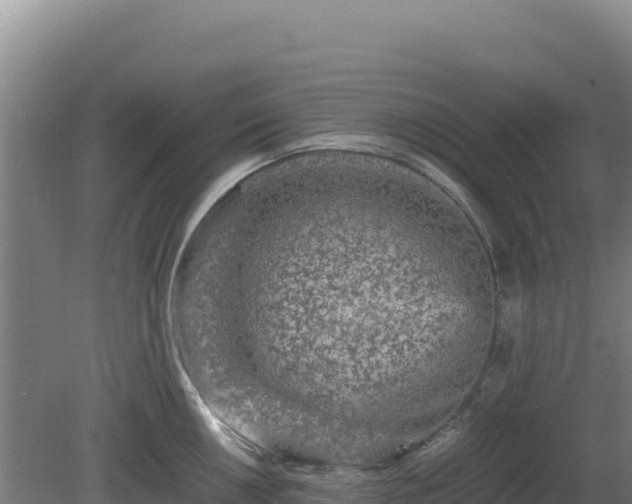 X0000081451050200701191709