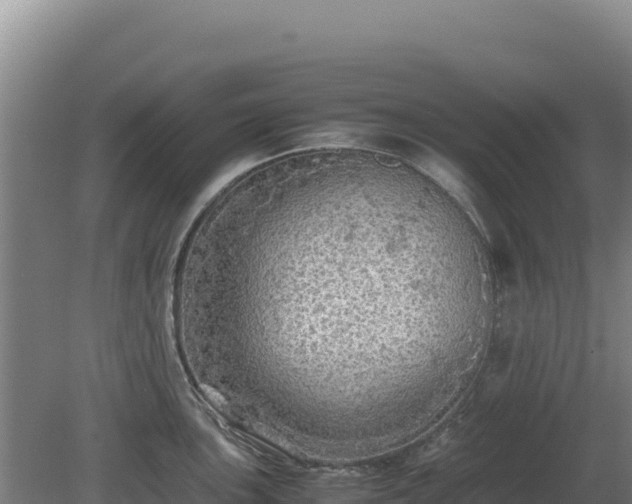 X0000081451051200701191709