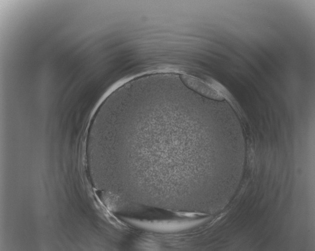 X0000081451052200701191709