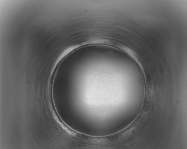 X0000081451053200701191709