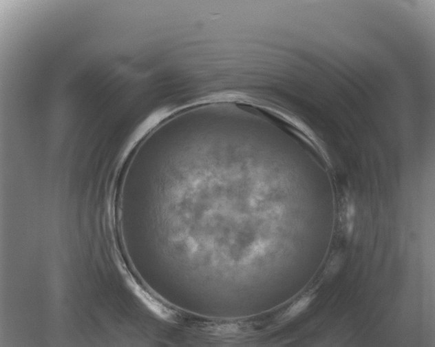 X0000081451054200701191709