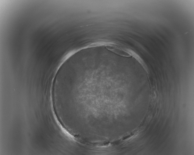 X0000081451055200701191709