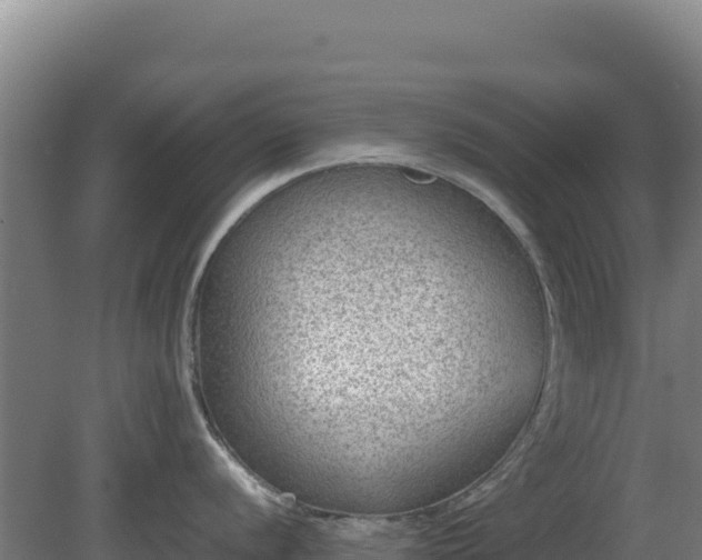 X0000081451056200701191709