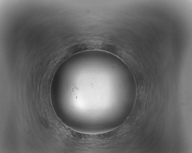 X0000081451057200701191708