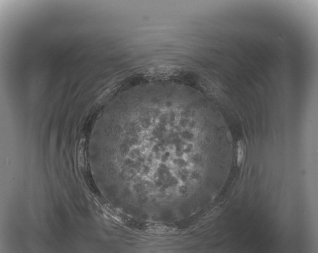 X0000081451059200701191708