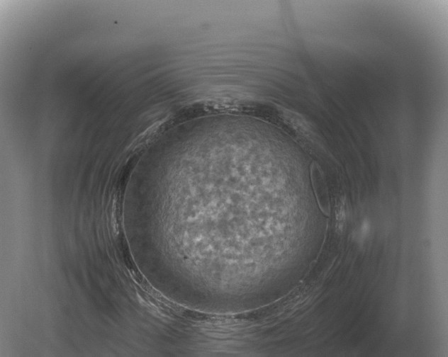 X0000081451060200701191708