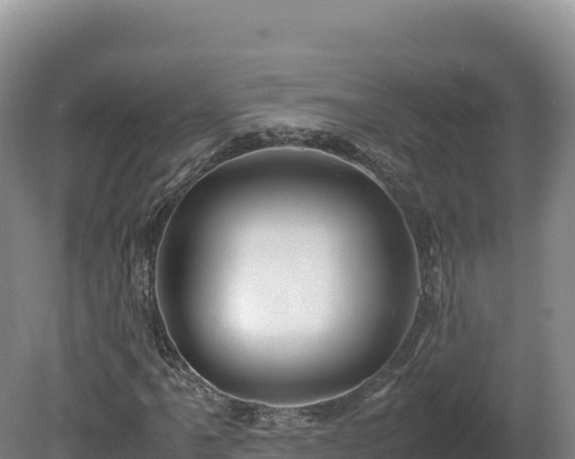 X0000081451061200701191708