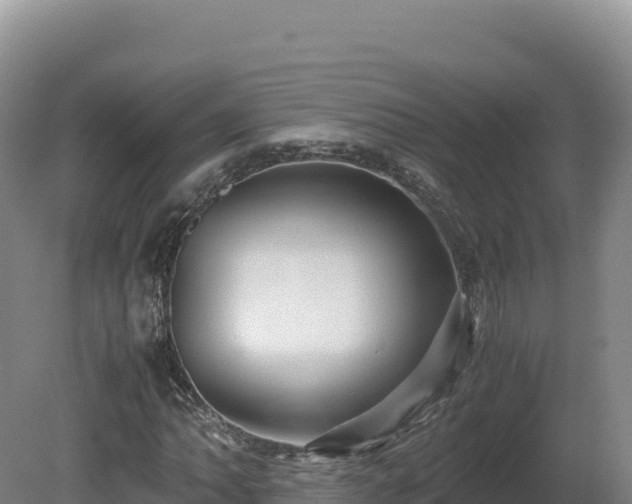 X0000081451062200701191708