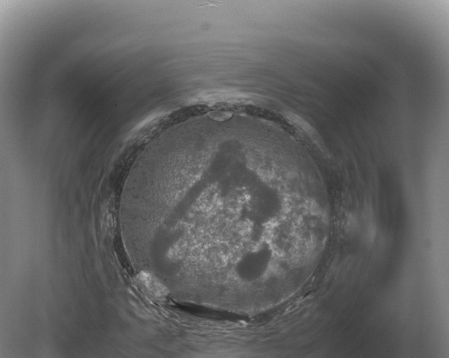 X0000081451063200701191708