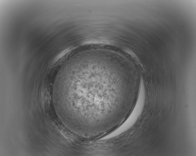 X0000081451064200701191708