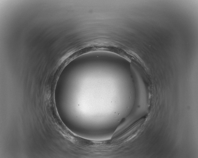 X0000081451065200701191708