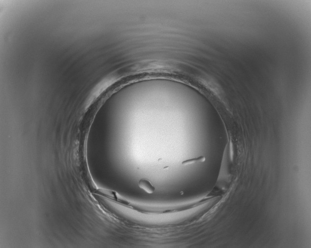 X0000081451066200701191708