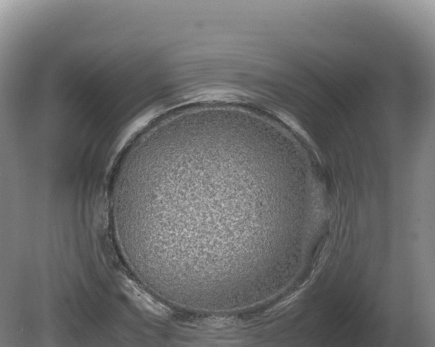 X0000081451067200701191708