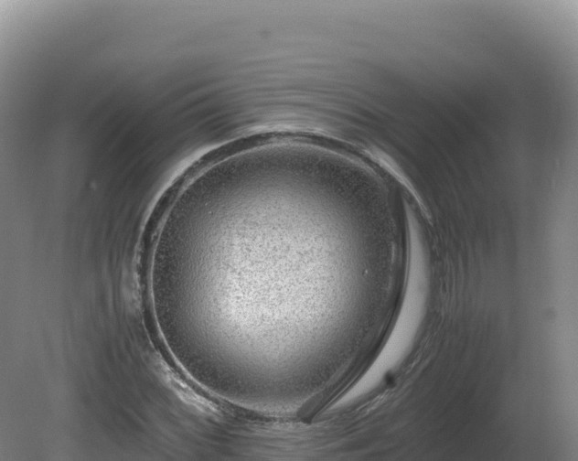 X0000081451068200701191708