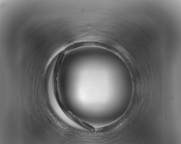 X0000081451069200701191708