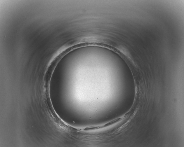 X0000081451070200701191708