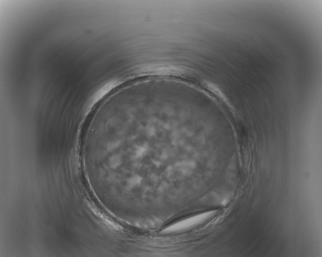 X0000081451071200701191708