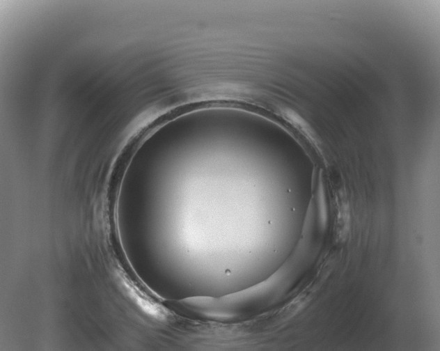 X0000081451072200701191708