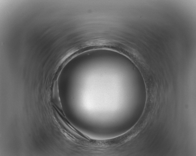 X0000081451073200701191708