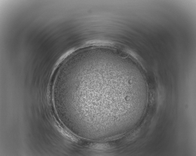 X0000081451074200701191708