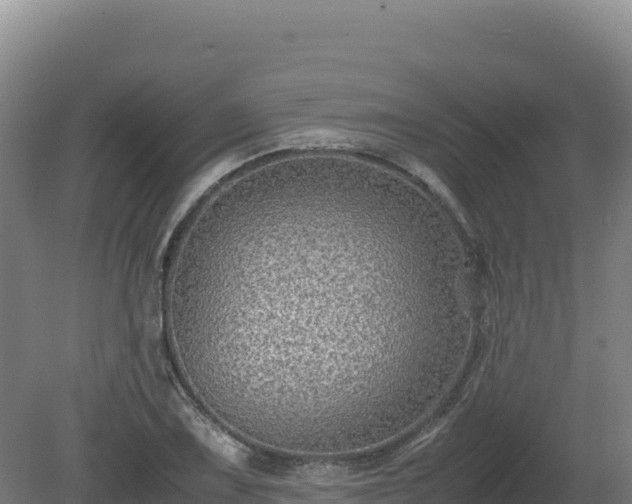 X0000081451075200701191708