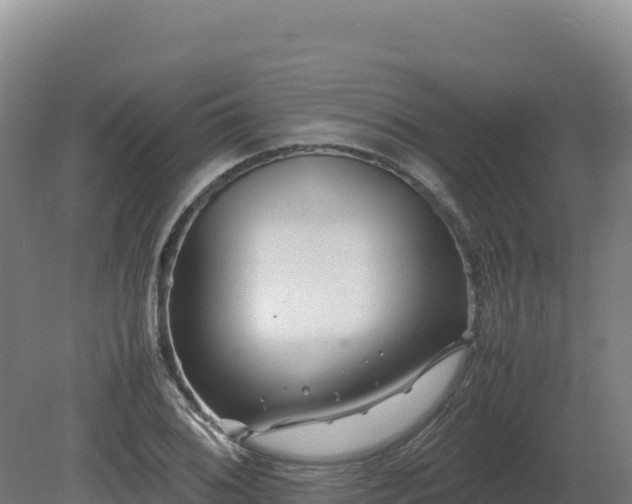 X0000081451076200701191708