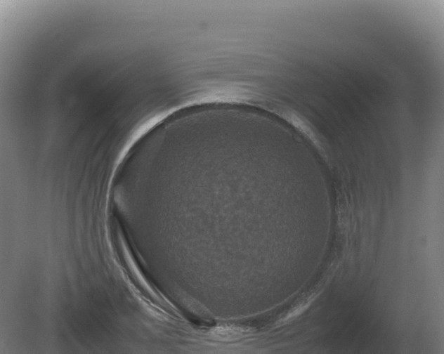 X0000081451077200701191708