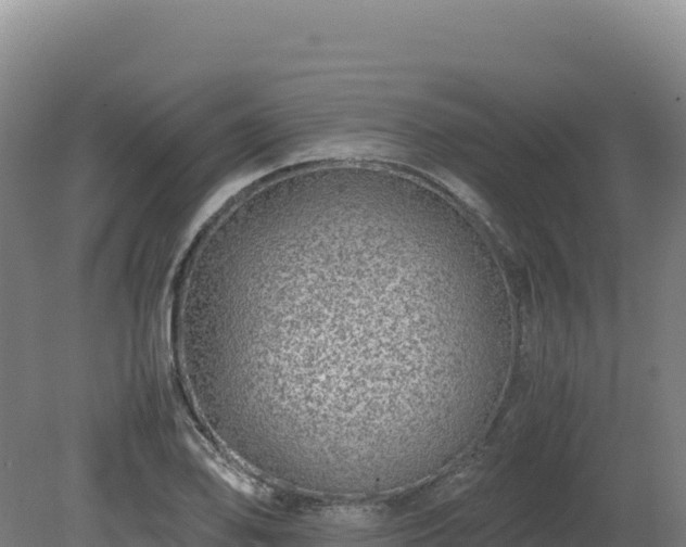 X0000081451078200701191708