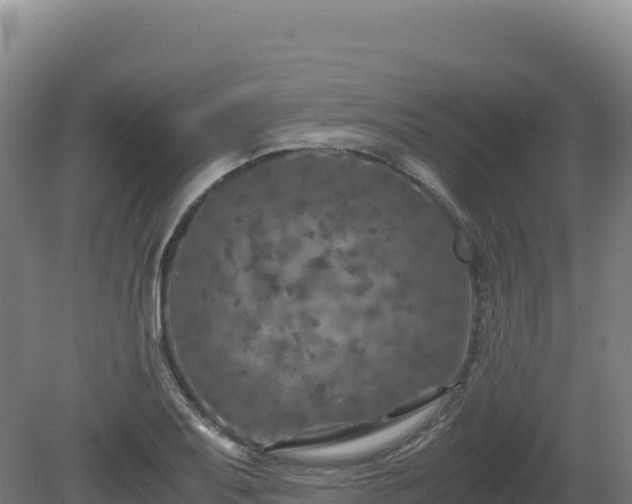 X0000081451079200701191708